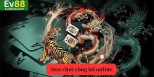 Mẹo Chơi Rồng Hổ Online Ev88: Tuyệt Chiêu Bất Khả Chiến Bại