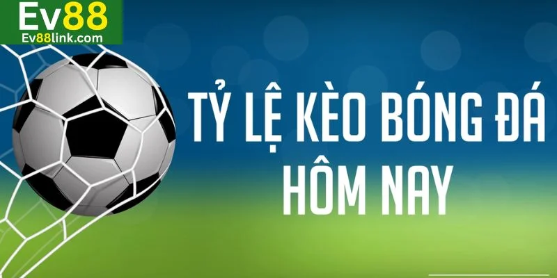 Tỷ lệ kèo nhà cái Ev88 là yếu tố then chốt trong cá độ bóng đá.