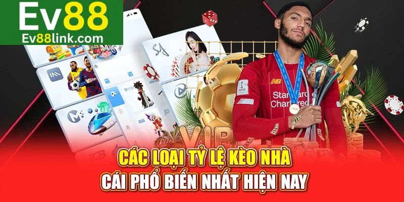 Có đa dạng tỷ lệ kèo nhà cái Ev88 hiện nay.